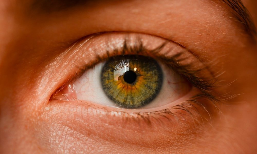 Oczy to fantastyczny organ. To dokładnie dzięki nim rozróżniamy.